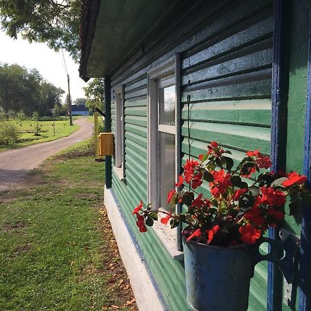 Mesi Tare Guesthouse Varnja Экстерьер фото